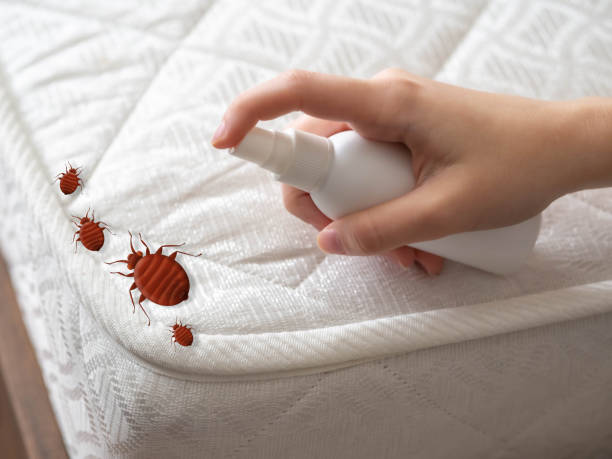 Best Emergency Pest Control  in Spearville, KS